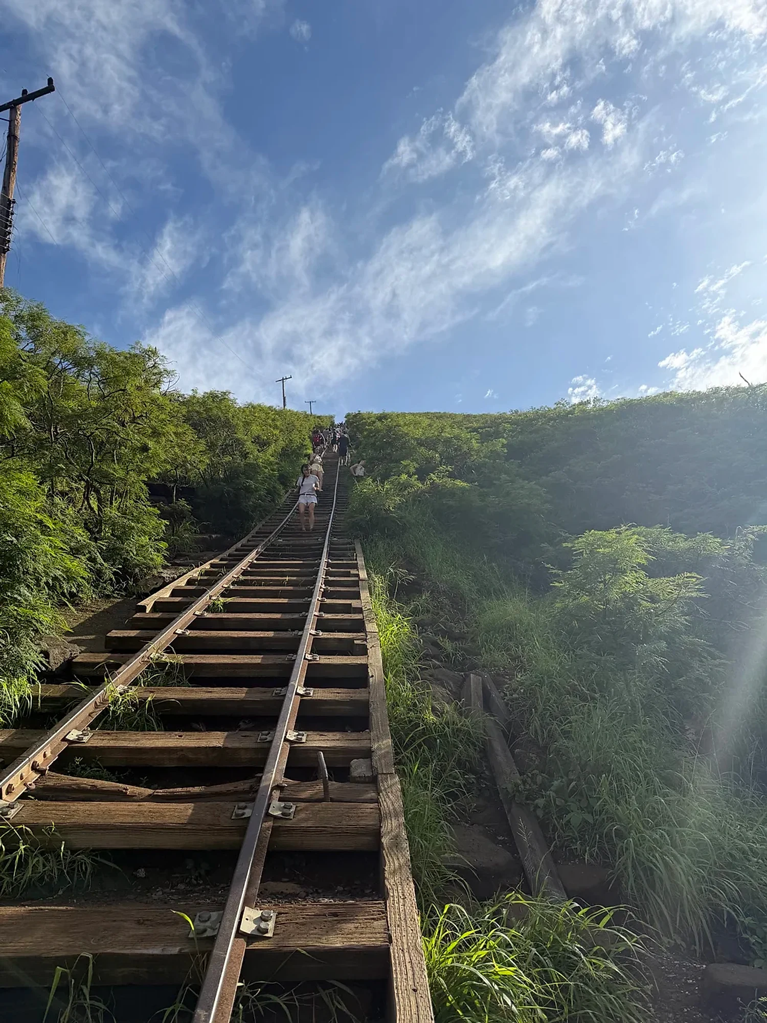The Koko Head Crater stairs climbing steeply toward the sky
